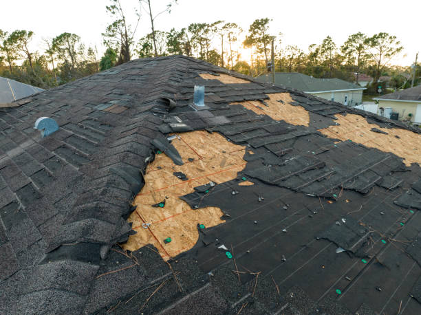 Best Roof Coating and Sealing  in Fort Stewart, GA